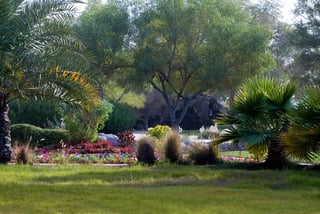 Al Areen Wildlife Park, Outskirts of Manama
